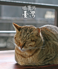 大手牵小手,暖宝游台湾——史上最接地气,最详尽吃住行攻略