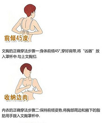 【咖啡in话题】三成女性不知道文胸的正确穿戴方法