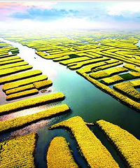 "迎接春天,中国最美的十大油菜花海"