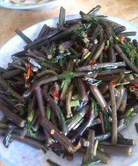 "春季正当吃野菜的时候 "