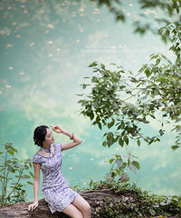 【北苍】芳华