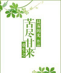 《重生之苦尽甘来》:晨雾的光【连载】
