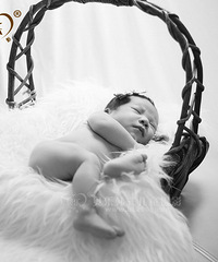 "哦,baby你是一个礼物!"