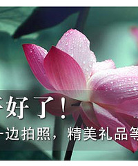 【办公室里发呆 不如来看荷花】
