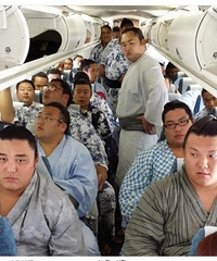 相扑选手乘机照爆红 网友心疼飞机