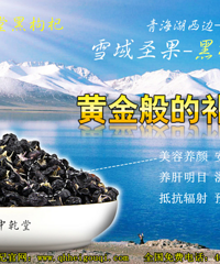 "孕妇可以吃黑枸杞吗"