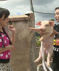 张柏芝比其他女星赞太多了 棒棒哒