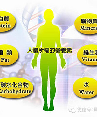 看看你的身体缺少什么营养