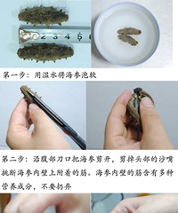 干海参泡发攻略