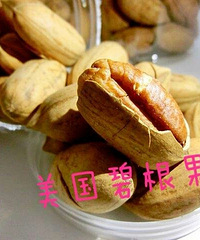 2014创意零食之美国碧根果