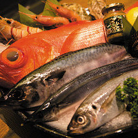 杭城最正宗的日本料理,没有之一