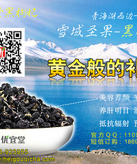 "孕妇能吃黑枸杞吗"