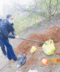 "一公园两天内发现10多具死胎 警方介入调查"