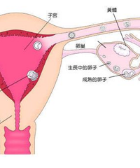 "怎样容易受孕,怀孕的科学方法"