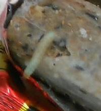 这样的食品 你还敢吃吗?