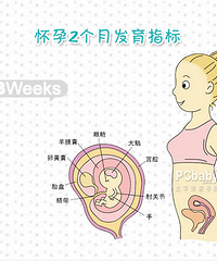 "怀孕2个月注意事项,怀孕两个月需要注意些什么"