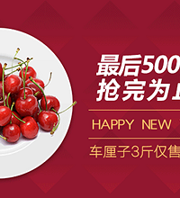 5折抢年货 猕猴桃10斤59元 车厘子3斤94元