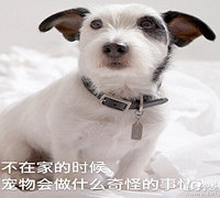 我家智能设备的功能好酷炫 关键还便宜!