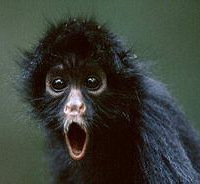 ������ˮ������ͳ�����ˣ�