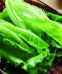 "孕妇可以吃生菜吗?生菜有哪些做法?"