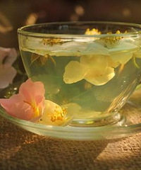 "怀孕可以喝菊花茶吗?喝茶也要注意啦!"