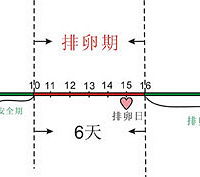 "怎么算排卵期最准确 家用测试法集合"