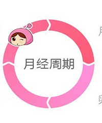 "卵泡期是什么意思?怎么算?\t"