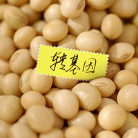 杭州将成立专家库 专门科普转基因食品安全的问题!
