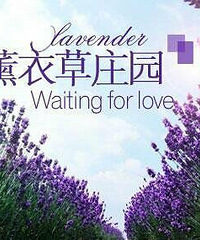 "周末好去处,亲子游。。杭州薰衣草庄园烧烤野炊,赏花抓蝌蚪"