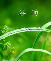 "谷雨“三俗”:品香茗、食香椿、赏牡丹 "