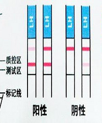 "排卵试纸准吗?原来排卵试纸是这样用才准!"