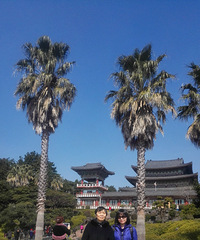 【带妈妈去旅行】济州岛五天母女开心游