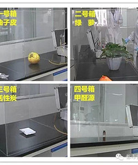 "你还在用柚子皮除甲醛吗?!赶快停止吧!实测太可怕..."