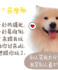 【萌瞬间】12星座都有什么狗脾气?