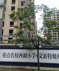 协安紫郡欺诈业主 8000万元的西湖小学成泡影