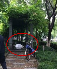 【突发】杭州一男子在贴沙河边上公园上吊死亡 具体原因不明