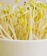 "豆芽夏季能消暑 黄豆芽绿豆芽有何不同?"