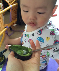 "喂诺诺吃牛油果。"