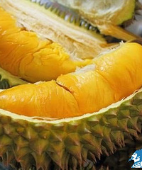 "榴莲怎么催熟?进来就知道"
