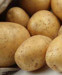 经期前吃什么好