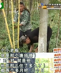 这座小岛,被这夫妻俩“承包”了?