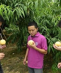 【带你去宁波】水蜜桃还能这么吃!