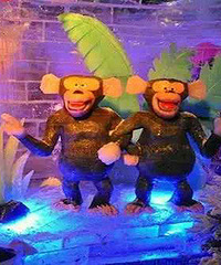 杭州海皇星生态乐园好玩吗_景区旅游攻略_杭