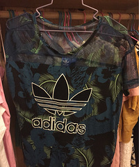 ��Ҷ�ݽ�����Ŀ��˵�Ǳ����ȷʵ����