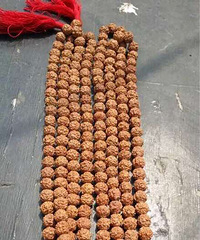 五瓣109颗小金刚菩提串,12c 大红皮