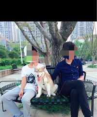 因家里原因不能养狗了,有意愿者联系我,狗