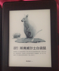 550低价转让kindle paperw