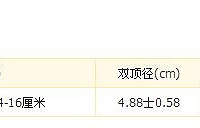 "孕期40周-怀孕20周"