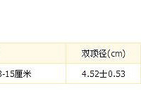 "孕期40周-怀孕19周"