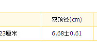 "孕期40周-怀孕26周 "